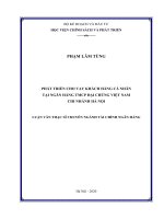 Luận văn thạc sĩ phát triển cho vay khách hàng cá nhân tại ngân hàng TMCP đại chúng việt nam  chi nhánh hà nội 