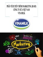 PHÂN TÍCH TIẾN TRÌNH MARKETING (b1 b3) CÔNG TY sữa VIỆT NAM VINAMILK 