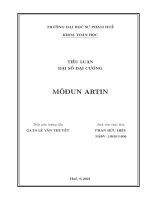 Tiểu luận Đại số đại cương: Môđun Artin