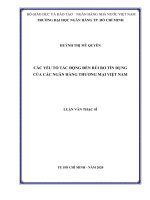 Các yếu tố tác động đến rủi ro tín dụng của các ngân hàng thương mại việt nam  luận văn thạc sĩ tài chính ngân hàng 
