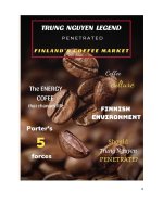 Tiểu luận cafe trung nguyên gia nhập thị trường phần lan  TL môn môi trường kinh doanh quốc tế IBE