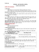 Giáo án lớp 3 theo CV 2345 và phát triển năng lực tuần 10 