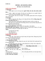 Giáo án lớp 3 theo CV 2345 và phát triển năng lực tuần 15 