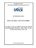 Vai trò của tòa án nhân dân trong giải quyết tranh chấp hợp đồng tín dụng   thực tiễn tại tòa án nhân dân huyện chư pah   