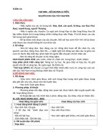 Giáo án lớp 3 theo CV 2345 và phát triển năng lực tuần 13 