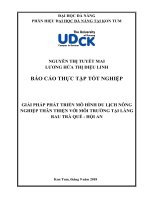 Giải pháp phát triển mô hình du lịch nông nghiệp thân thiện với môi trường tại làng rau trà quế   hội an 