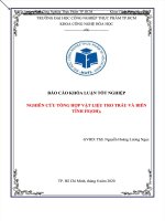 Nghiên cứu tổng hợp vật liệu tro trấu và biến tính FE(OH)3