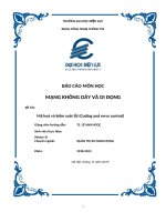 Báo cáo môn học mạng không dây và di động đề tài mã hoá và kiểm soát lỗi (coding and error control)