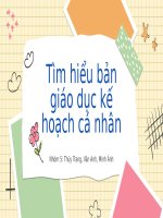 Tìm hiểu bản giáo dục kế hoạch cá nhân cho trẻ khuyết tật trí tuệ