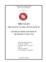 TIỂU LUẬN môn LỊCH sử các học THUYẾT KINH tế lợi NHUẬN TRONG nền KINH tế THỊ TRƯỜNG ở VIỆT NAM 