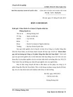 Hoàn thiện quy chế trả lương tại Công ty Cổ phần Xăng dầu Dầu khí Nam Định