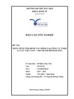 Phân tích tình hình tài chính tại công ty tnhh cj cgv việt nam  chi nhánh bình dương  