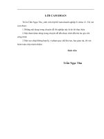 Kế toán chi phí kinh doanh tại Công ty cổ phần sản xuất và thương mại Sơn Thủy