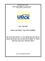 Kế toán bán hàng và xác định kết quả hoạt động kinh doanh tại doanh nghiệp tư nhân thương mại lộc trường phát   