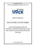 Quyết định hình phạt đối với người chưa thành niên phạm tội và thực tiễn áp dụng tại tòa án nhân dân huyện ngọc hồi   