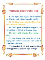NỘI DUNG TRIẾT TỔNG HỢP, đầy đủ nội dung (có ví dụ)