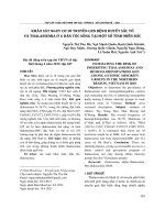Khảo sát nguy cơ di truyền gen bệnh huyết sắc tố và Thalassemia ở 6 dân tộc sống tại một số tỉnh miền Bắc