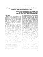 Tổng quan Thalassemia, thực trạng, nguy cơ và giải pháp kiểm soát bệnh Thalssemia ở Việt Nam