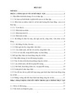 Công tác xã hội cá nhân với trẻ em mồ côi có hành vi lệch chuẩn tại cơ sở bảo trợ xã hội thiện tâm 