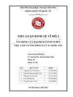 Tiểu luận kinh tế vĩ mô 2: Tác động của đại dịch COVID 19 đến việc làm và ứng phó cúa các quốc gia