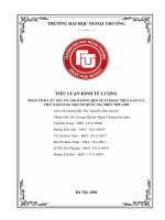 TIỂU LUẬN KINH tế LƯỢNG PHÂN TÍCH các yếu tố ẢNH HƯỞNG đến XUẤT KHẨU THỦY sản của VIỆT NAM SANG một số QUỐC GIA TRÊN THẾ GIỚI 