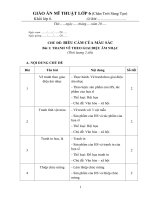 GIÁO ÁN MĨ THUẬT 6( CHÂN TRỜI SÁNG TẠO) THEO CÔNG VĂN 5512