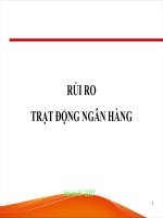 bài giảng: hoạt động rủi ro trong ngân hàng và quản trị rui ro