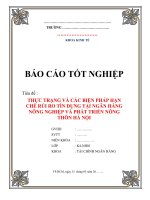 báo cáo tốt nghiệp: THỰC TRẠNG và các BIỆN PHÁP hạn CHẾ rủi RO tín DỤNG tại NGÂN HÀNG