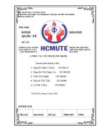 TIỂU LUẬN KINH DOANH QUỐC TẾ CHIẾN LƯỢC THÂM NHẬP THỊ TRƯỜNG GIÀY DÉP ÚC CỦA THƯƠNG HIỆU BITI’S – SẢN PHẨM BITI’S HUNTER