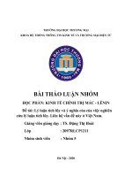 Lý luận tích lũy và ý nghĩa của của việc nghiên cứu lý luận tích lũy. Liên hệ vấn đề này ở Việt Nam