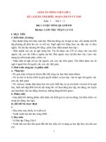 Giáo án môn tiếng việt lớp 2 sách cánh diều ( học kì 1), bộ 1 