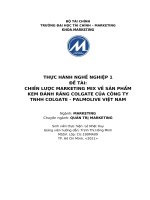 TIỂU LUẬN CHIẾN LƯỢC MARKETING MIX VỀ SẢN PHẨM KEM ĐÁNH RĂNG COLGATE CỦA CÔNG TY TNHH COLGATE  PALMOLIVE VIỆT NAM