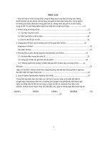 Tiểu luận Phân tích chiến lược quản trị marketing và marketing online của Công ty TNHH sản xuất và Kinh doanh VinFast