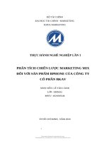 TIỂU LUẬN PHÂN TÍCH CHIẾN LƯỢC MARKETING MIX ĐỐI VỚI SẢN PHẨM BPHONE CỦA CÔNG TY CỔ PHẦN BKAV