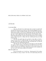 Tiểu luận chiến lược Marketing phát triển sản phẩm mới FruitMilk của công ty PepsiCo Việt Nam