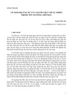Về thái độ ứng xử của người Việt với tự nhiên trong tín ngưỡng thờ MẫuNguyễn Hữu Thụ