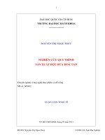 Nghiên cứu quy trình sản xuất bột dứa hòa tan 