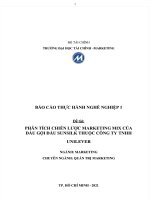 Phân tích chiến lược marketing mix của dầu gội sunsilk thuộc công ty TNHH unilever