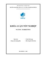 Giải pháp nhằm hoàn thiện công tác marketing tại công ty TNHH thanh tú