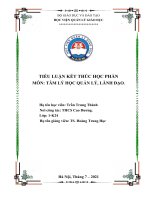 Tiểu luận Kết thuc môn học; Tâm lý giáo dục