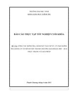 CÔNG tác KIỂM TRA, GIÁM sát tại cấp ủy, ủy BAN KIỂM TRA ĐẢNG ủy cơ sở HUYỆN THANH CHƯƠNG GIAI đoạn 2006 – 2010  THỰC TRẠNG và GIẢI PHÁP 