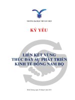 LIÊN KẾT VÙNG THÚC ĐẨY SỰ PHÁT TRIỂN KINH TẾ ĐÔNG NAM BỘ