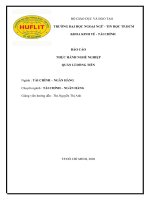 Báo cáo thực hành nghề nghiệp quản lí dòng tiền tại công ty quốc tế phi trường