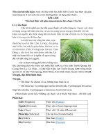 22. Ngô Kim Thanh - Bài thi môn Hợp chất thiên nhiên