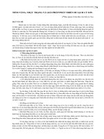 Tiềm năng, thực trạng và giải pháp phát triển du lịch Lý Sơn