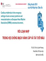 RỐI LOẠN NHỊP TRONG HỘI CHỨNG MẠCH VÀNH CẤP VÀ TÁI TƯỚI MÁU ThS. BS. Trần Lê Uyên Phương Khoa Điều trị Rối loan nhịp Bệnh viện Chợ Rẫy