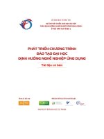 DỰ ÁN PHÁT TRIỂN GIÁO DỤC ĐẠI HỌC THEO ĐỊNH HƯỚNG NGHỀ NGHIỆP ỨNG DỤNG (POHE) Ở VIỆT NAM GIAI ĐOẠN II