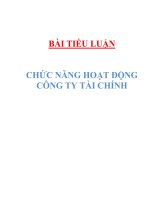 bài tiểu luận: CHỨC NĂNG HOẠT ĐỘNG của các CÔNG TY tài CHÍNH
