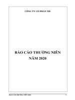 CÔNG TY CỔ PHẦN TIE BÁO CÁO THƯỜNG NIÊN NĂM 2020