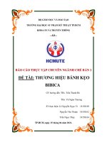 BÁO CÁO THỰC TẬP CHUYÊN NGÀNH CHẾ BẢN 1 ĐỀ TÀI: THƯƠNG HIỆU BÁNH KẸO BIBICA
